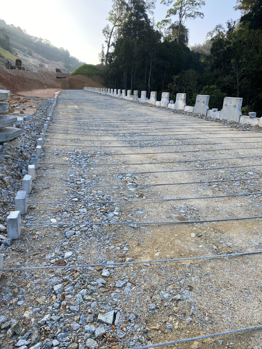 Steel soil reinforcement